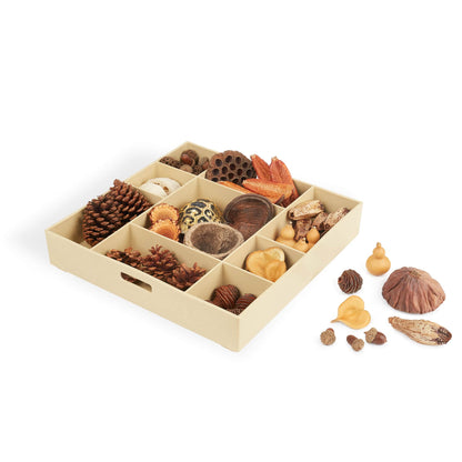 G4850 Nature's Geometry Product 2