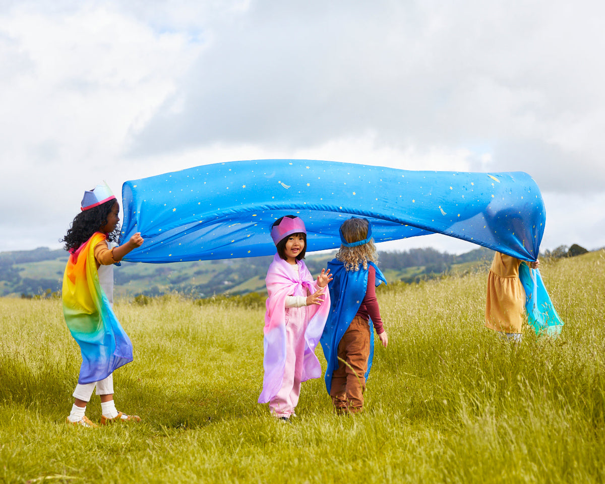 Two Children holding blue canopy and Two children standing inside it in outdoor setting with grass