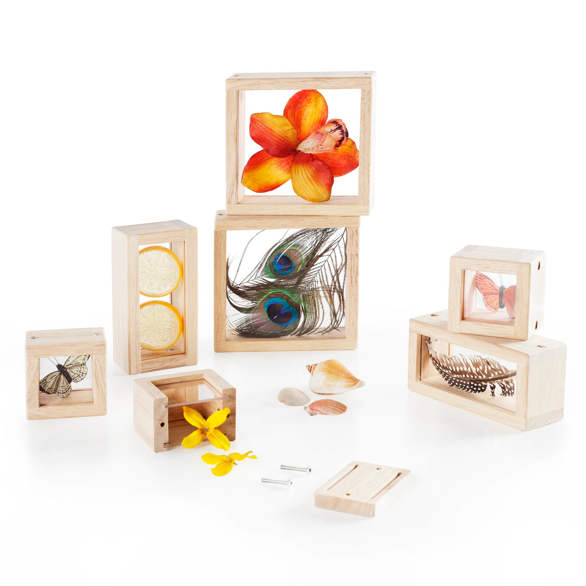 G3084 Treasure Blocks Clear 4 | Clear